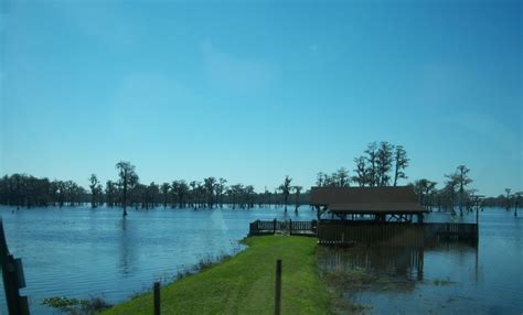 Cypress Lake | Florida Fishing Lakes | Osceola County