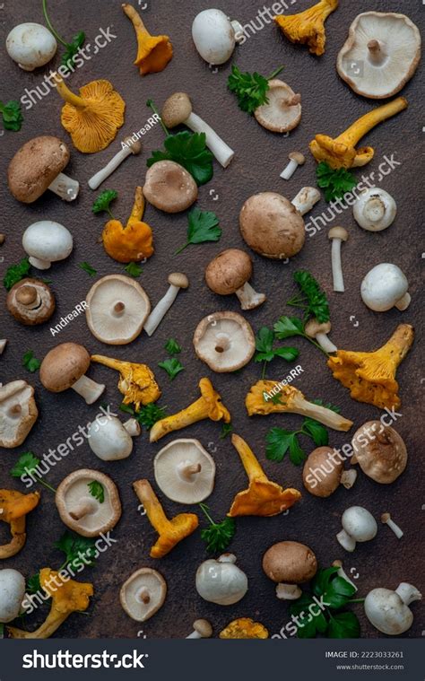 Varieties Edible Mushrooms Like Chanterelle Champignon Stock Photo 2223033261 | Shutterstock