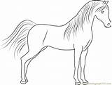 Cute Horse Coloring Page  Free Pages ColoringPages101com sketch template