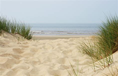 Sand Dunes On Beach At North Sea by Knaupe