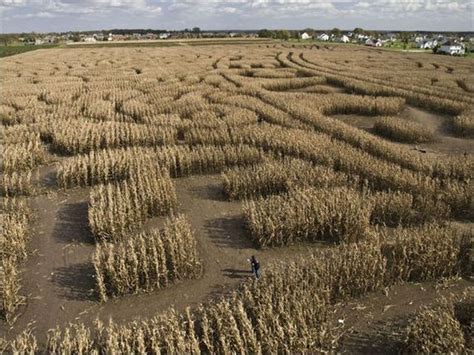 Awesome Corn Crop Maze Art - Barnorama