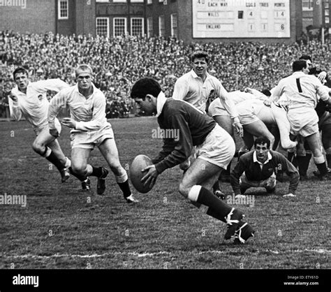 David watkins and wales rugby hi-res stock photography and images - Alamy