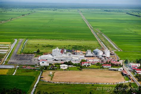 OverflightStock™ | Rice Fields and Farming Guyana Aerial Stock Photo