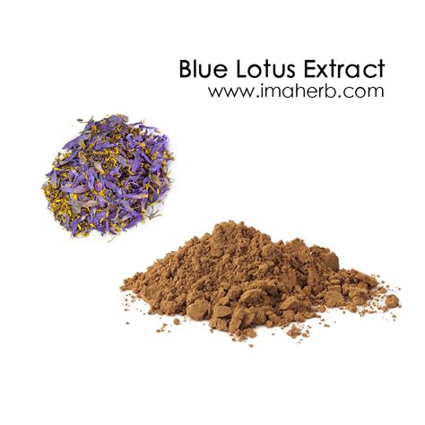 Blue Lotus Extract, Blue Lotus Leaf Extract Powder