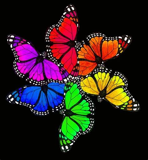 rainbow butterflies | Color splash | Pinterest