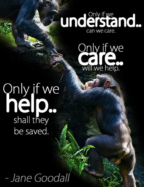 Quotes about Care Of Animals (58 quotes)