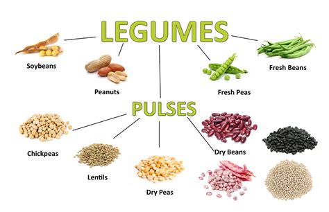 Legumes and pulses – Later On