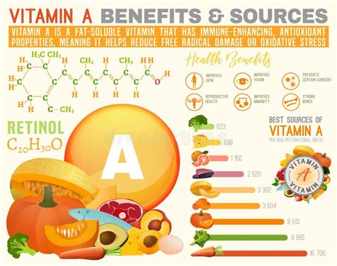 Vitamin a infographic vektor abbildung. Illustration von immun - 116644638