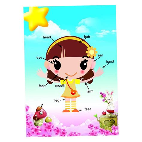 ⚡️Buy Max Kids Toddlers earning Poster Preschool Educational Wall Posters Body at the best price ...