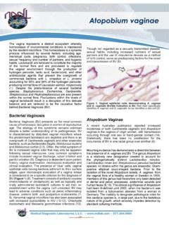 Atopobium vaginae / atopobium-vaginae.pdf / PDF4PRO