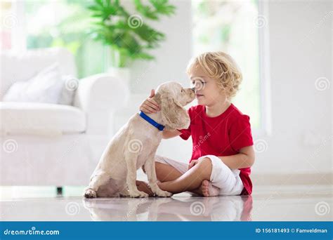 Child Playing with Dog. Kids Play with Puppy Stock Image - Image of happy, cocker: 156181493