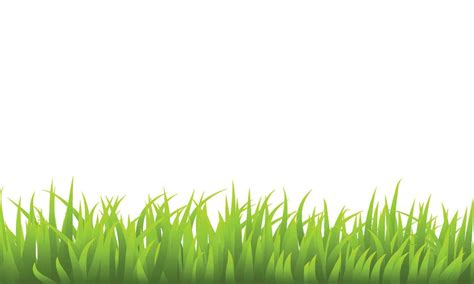 Vector grass border vector illustration 27198095 Vector Art at Vecteezy