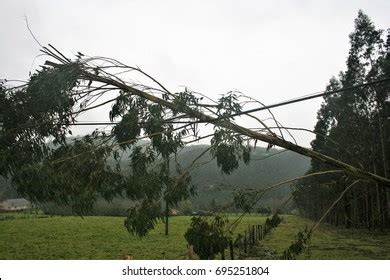 23 Explosive Cyclogenesis Images, Stock Photos & Vectors | Shutterstock