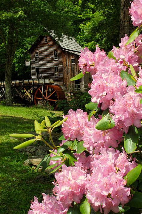 Babcock State Park Photograph by Jaime Pettry - Fine Art America