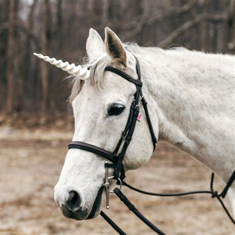 Unicorn Horn for Horses and Ponies: Unicorn Horn Browband – Unicorn Corner