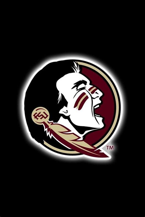 Pin on FSU | Fsu seminoles, Florida state football, Fsu