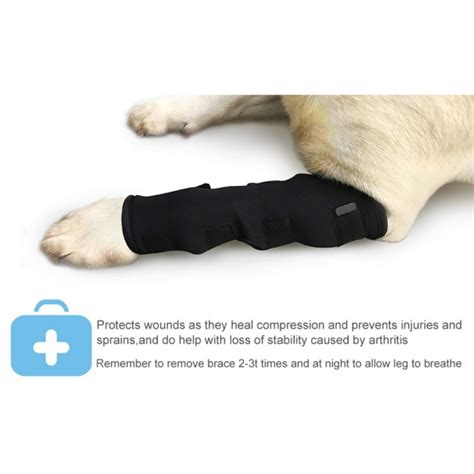 Pet Dog Protection Bandage Wounds Extra Dog Canine Rear Leg Hock Joint Wrap Protects Bandage Leg ...