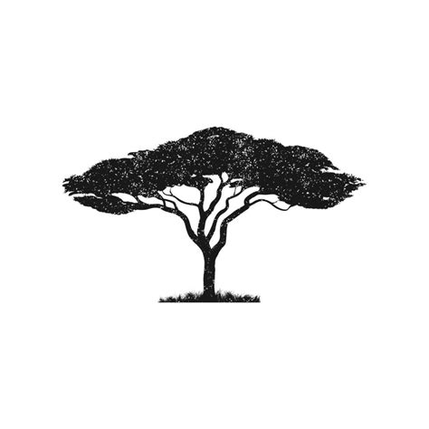 Vector silhouette of acacia tree.African tree isolated silhouette 16670801 Vector Art at Vecteezy