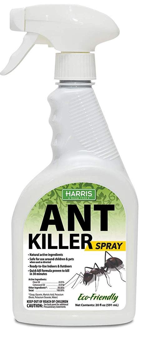 Ant Killers: The Best Of 2019