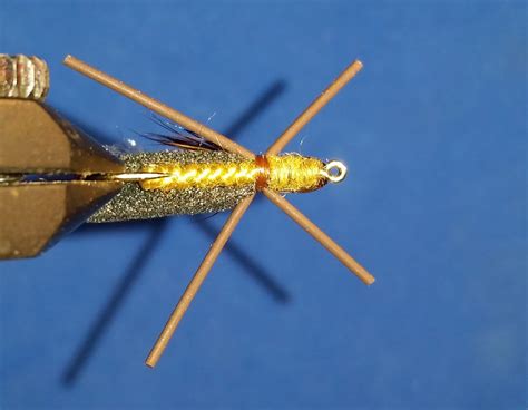 Jon Baiocchi Fly Fishing News: The Skwala Stonefly ~ Tips & Tricks