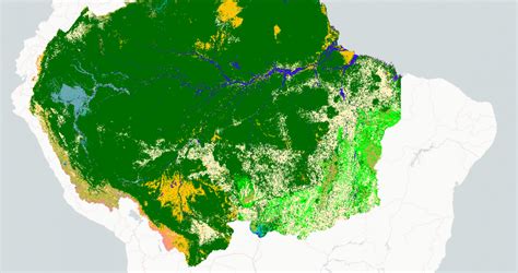 Mapbiomas: The Project Tracking 35 Years of Amazonian Deforestation ...