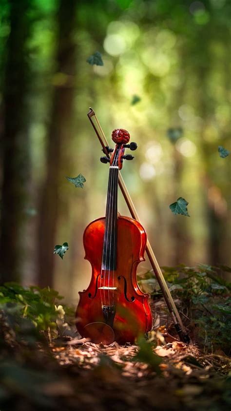 Violin, Fiddle HD phone wallpaper | Pxfuel