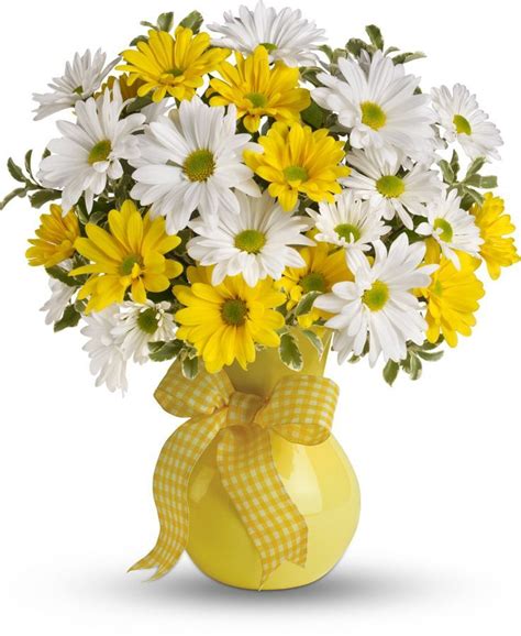 Upsy Daisy | Yellow daisies, White daisy bouquet, Flowers bouquet