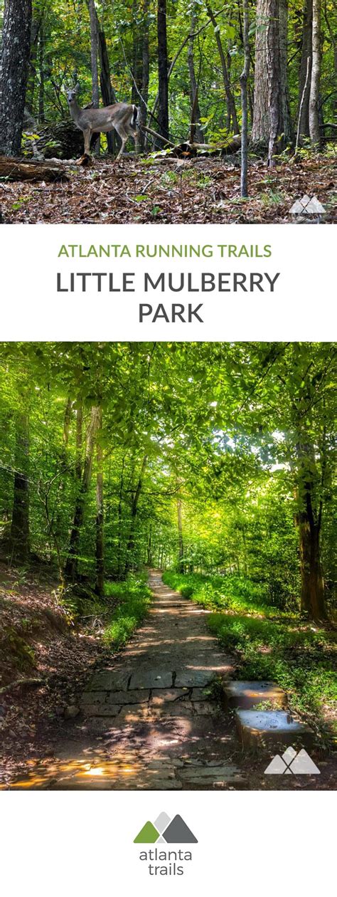 Little Mulberry Park: running the East Mulberry Trail - Atlanta Trails