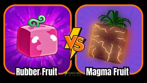 Is Rubber Fruit Better Than Magma? Guide For Beginners