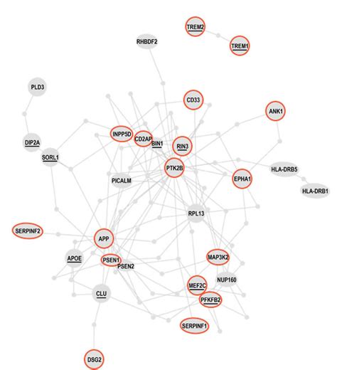 Oncotarget | Dynamic self-guiding analysis of Alzheimer’s disease