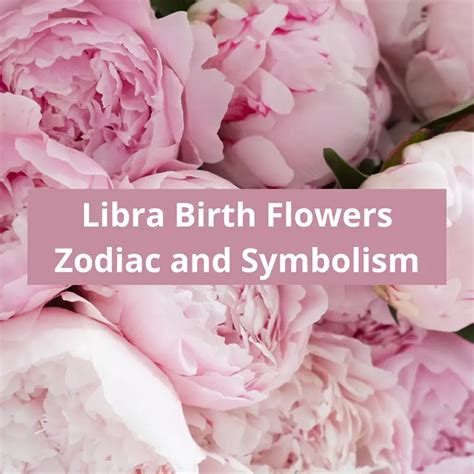 Libra Birth Flowers: Pink Rose and Peony Zodiac Flower Symbolism