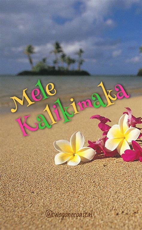 Mele Kalikimaka | Hawaii christmas, Hawaiian christmas, Hawaiian holidays