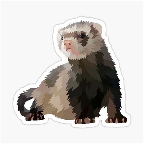 "Brown and White Ferret" Sticker for Sale by Casey121406 | Redbubble