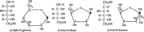 Typical aldose and ketose monosaccharides in Fischer and Haworth... | Download Scientific Diagram