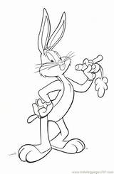Bugs Bunny Christmas Coloring Pages At GetColoringscom  Free sketch template