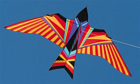 Sky Bird Kite at WindPower Sports Kites