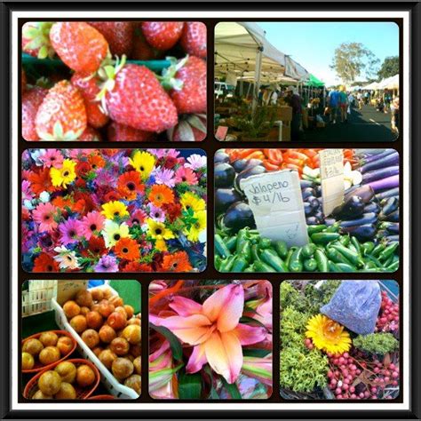 Hillcrest Farmer's Market Sundays | San diego style, Favorite places, Hillcrest