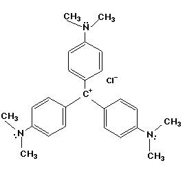 Structure of Polystyrene | Download Scientific Diagram