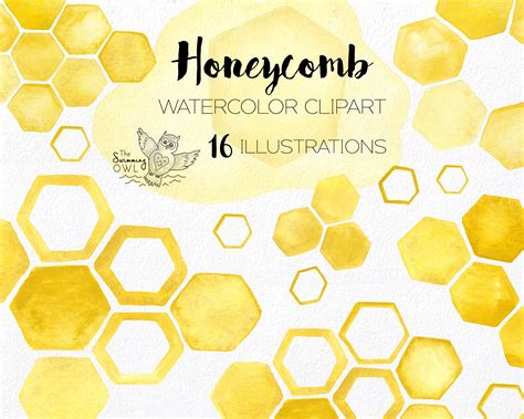 Watercolor Honeycomb Clipart Watercolor Clipart Honeycomb - Etsy Australia