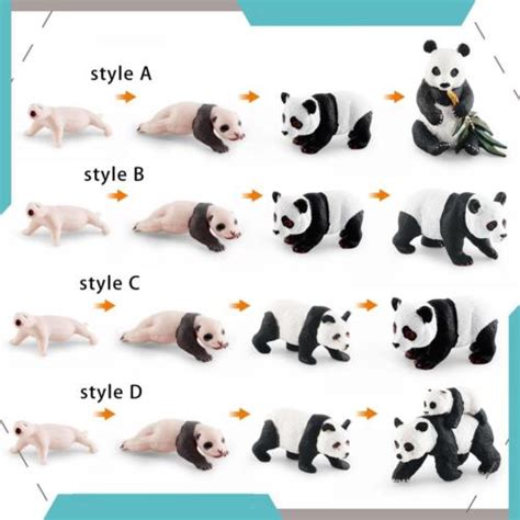 Life Cycle Animal Figures Toy 4 Stages of Panda Playset for Preschool Boy | eBay