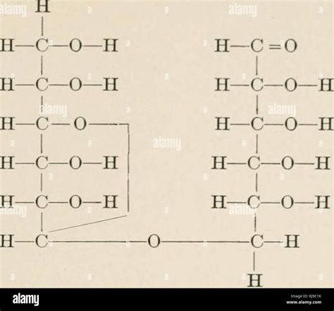 C12h22o11 Lewis Structure