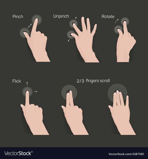 Set of commonly used multi-touch gestures Vector Image