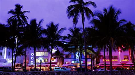 HD wallpaper: cityscape, palm trees, Miami, Miami Beach | Wallpaper Flare