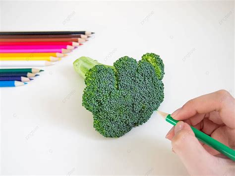 Broccoli Draw Background Images, HD Pictures and Wallpaper For Free Download | Pngtree