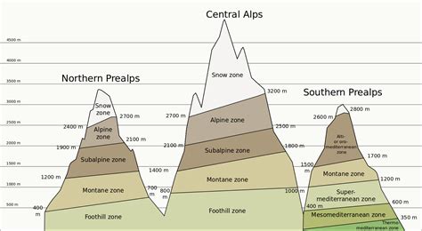 File:Altitudinal zones of Alps mountains Extended diagram-en.svg | Alps, Diagram, Historical ...