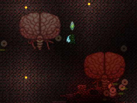 Brain of Cthulhu | Terraria Wiki | Fandom powered by Wikia