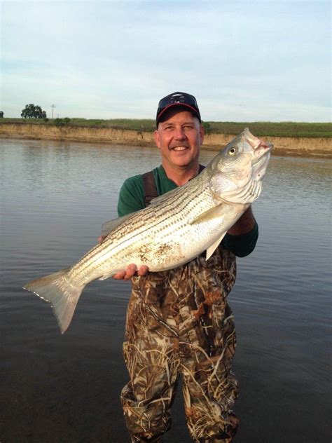 Sacramento River Fishing | Columbia River Fishing Guide Dan Ponciano