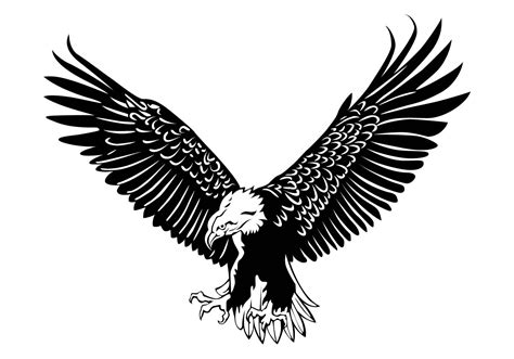 Eagle Vector - Download Free Vector Art, Stock Graphics & Images