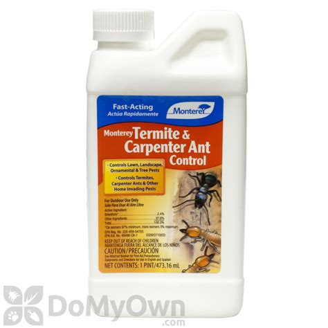 Monterey Termite and Carpenter Ant Control