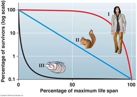 APES Unit 3 Survivorship Curves Flashcards | Quizlet